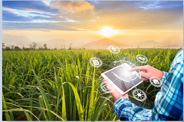 Farm management & supervision