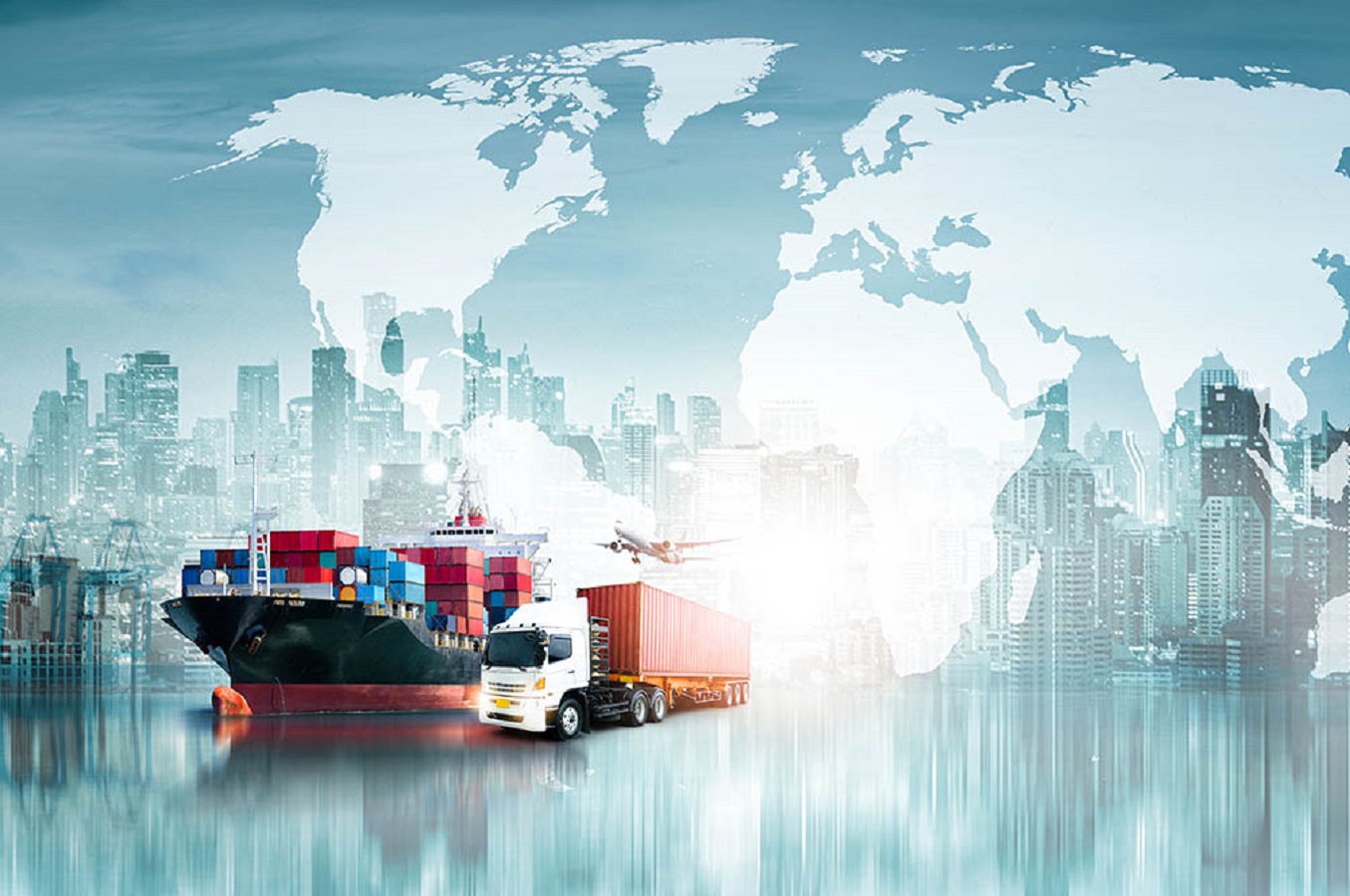 Export & market access