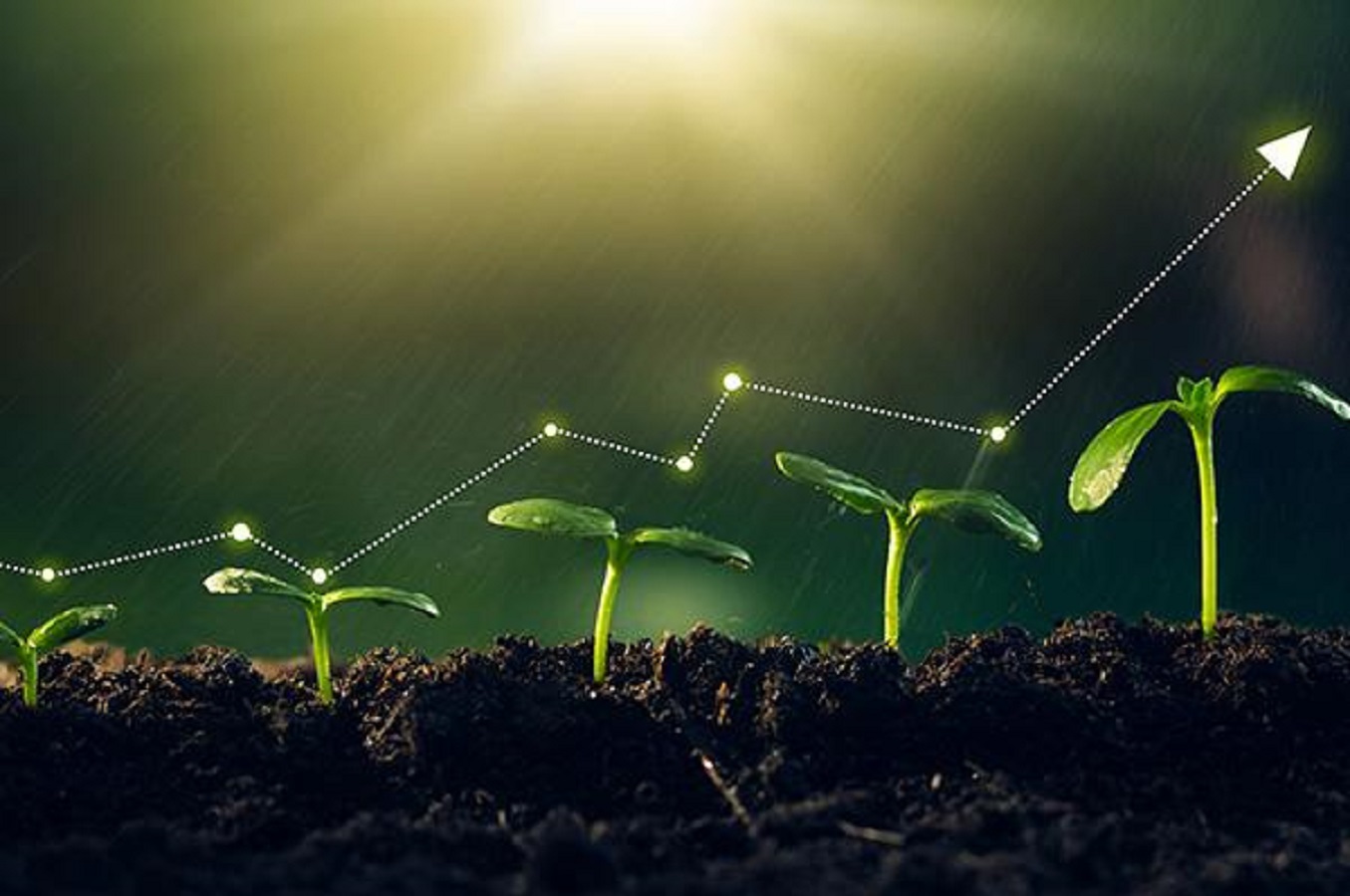 Agricultural investment access